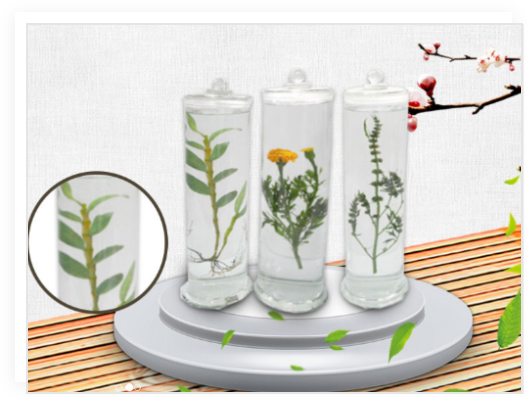 昆蟲分類標本_植物病害標本_生物顯微玻片_蝴蝶標本_新鄉市禾力教學設備有限公司